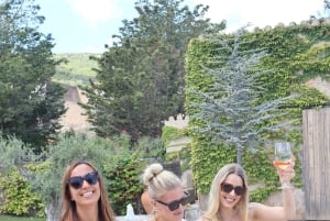 Barcellona: Cavalcata nei vigneti e degustazione di vini + tapas