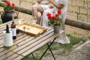 Barcellona: Cavalcata nei vigneti e degustazione di vini + tapas