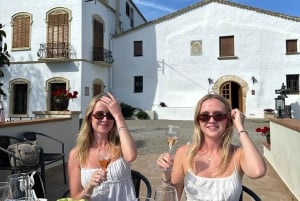 Barcellona: Cavalcata nei vigneti e degustazione di vini + tapas