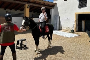 Barcellona: Cavalcata nei vigneti e degustazione di vini + tapas