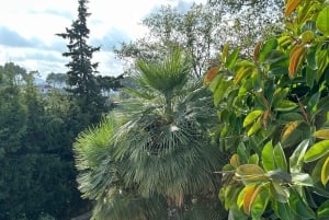 Barcellona: Cavalcata nei vigneti e degustazione di vini + tapas