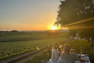 Barcellona: Cavalcata nei vigneti e degustazione di vini + tapas