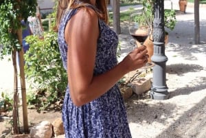 Barcellona: Cavalcata nei vigneti e degustazione di vini + tapas