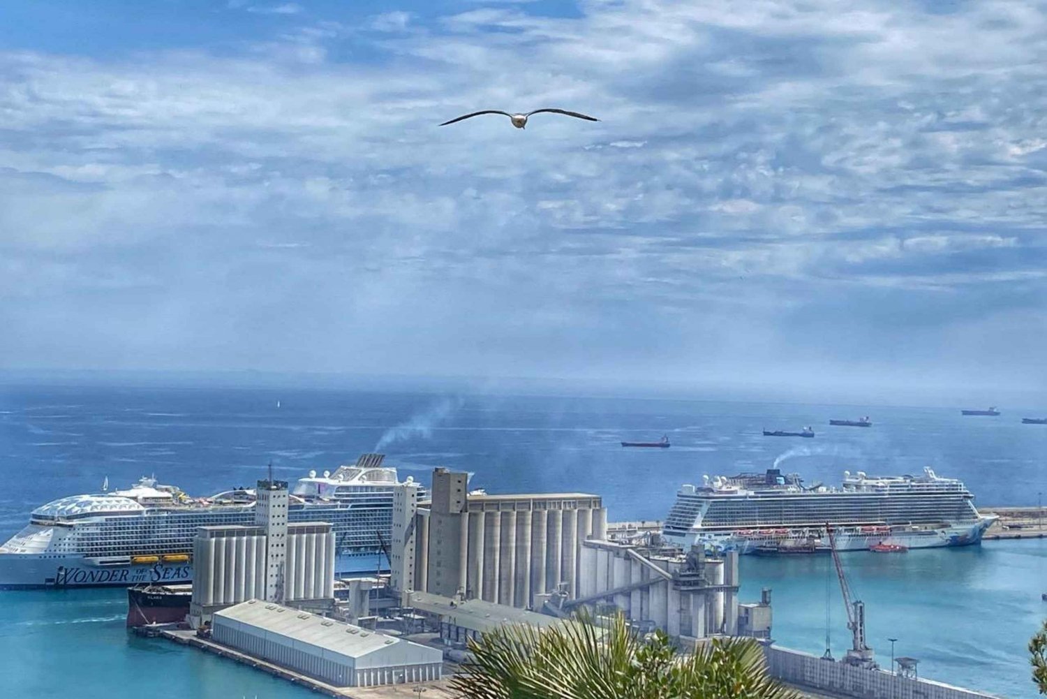 Barcelona: Skreddersydd VIP-tur med privat omvisning