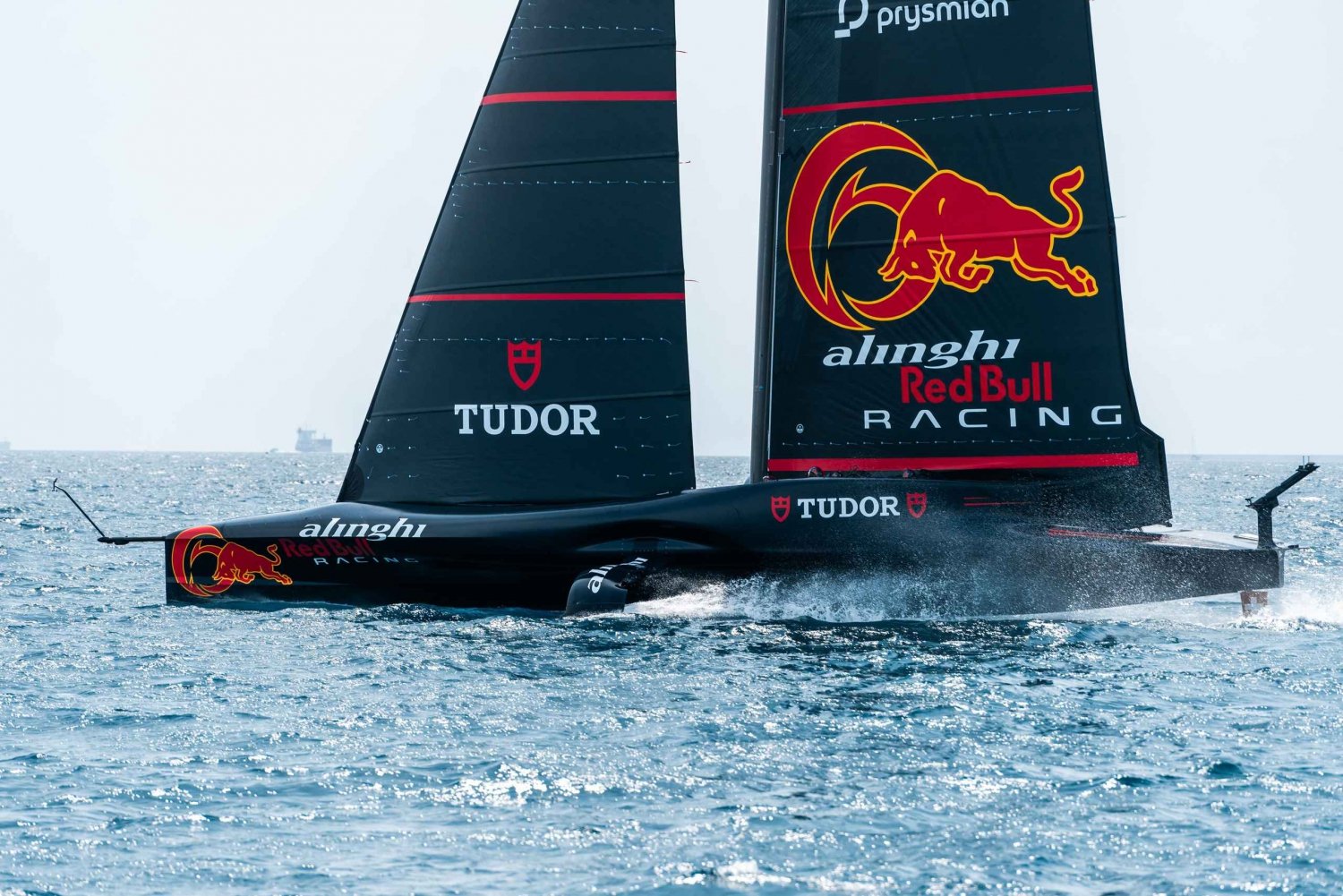 Barcelona: Sail, swim Wine & Tapa at daytime or sunset