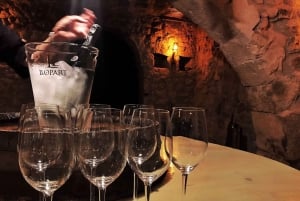 Barcelone : visite premium, vin et vin mousseux