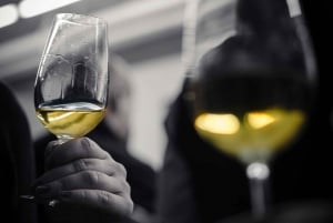 Vinprovning i Barcelona: Katalanska och spanska viner