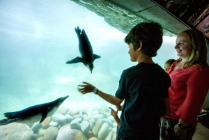 Barcelona: 1-Day Ticket to Barcelona Zoo