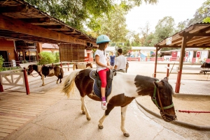 Barcelona: 1-Day Ticket to Barcelona Zoo