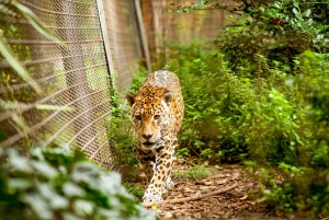 Barcelona: 1-Day Ticket to Barcelona Zoo