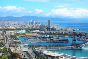 Det bästa av Barcelona: Sagrada Familia & Park Guell med upphämtning