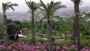 Botanical Garden