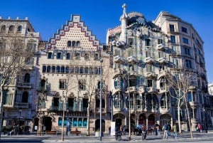 Biglietti per la Casa Batllo, tour dell'architettura di Barcellona
