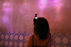 Tour con accesso prioritario alla Casa Batlló e upgrade alla Sagrada Família