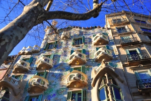 Tour de acceso prioritario a la Casa Batlló con mejora a la Sagrada Familia