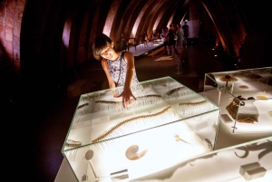 Barcelona: Casa Milà Skip-the-Line Ticket and Audio Guide