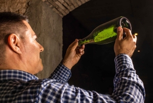 Catalonië: Unieke wijnkelderbezoeken op maat