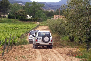Catalonië: Unieke wijnkelderbezoeken op maat