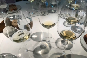 Catalonië: Unieke wijnkelderbezoeken op maat