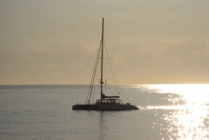 Catamaran Cruise from Las Ramblas to Port Olympic
