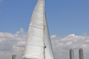  Catamaran Sail and Skyline