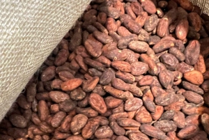 Chocolate express workshop for families and kids in Barcelona