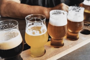 Craft Beer Tipsy Tour in Barcelona