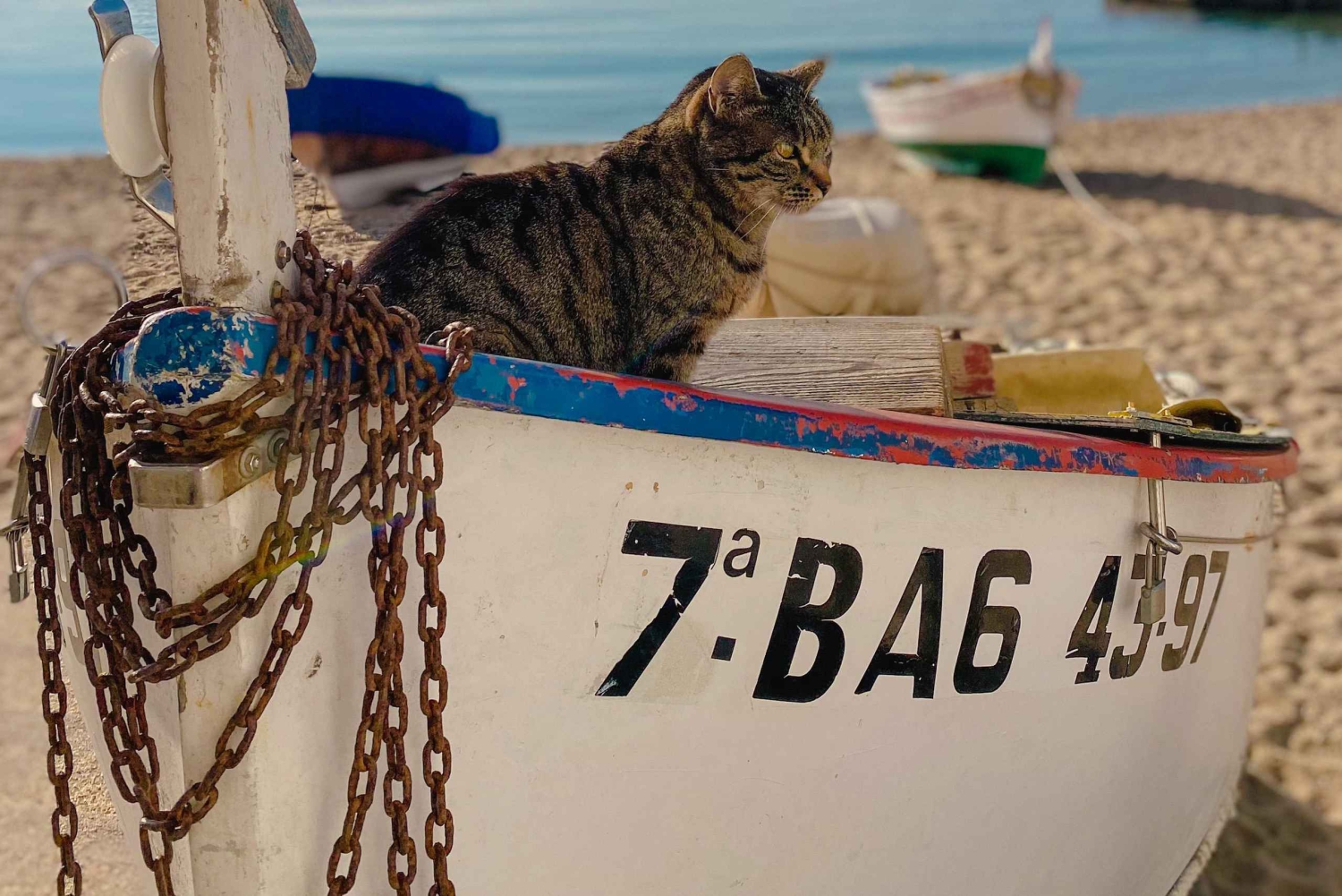 Excursión de un día a Francia con visita a Girona desde Barcelona