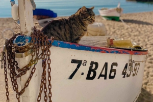 Excursión de un día a Francia con visita a Girona desde Barcelona