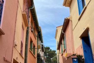 Excursión de un día a Francia con visita a Girona desde Barcelona