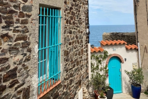 Excursión de un día a Francia con visita a Girona desde Barcelona