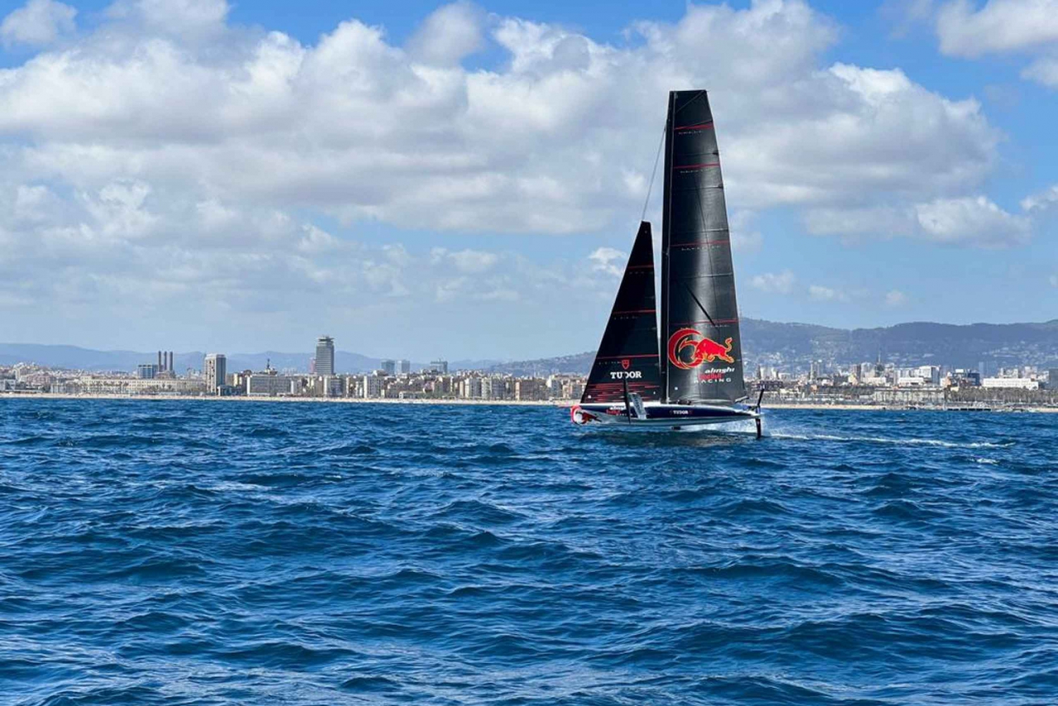 Discover & Live America's Cup 37 Sailing Experience