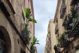 «Oppdag Barcelona uten å måtte gå (sykler, sparkesykler...)