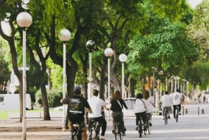 E-Bike Tour & All-Day Rental: Explore Barcelona Your Way