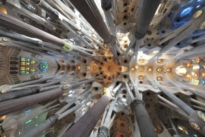 Early Access to Sagrada Familia w/ Optional Tower Access