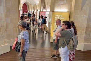 Early Access to Sagrada Familia w/ Optional Tower Access