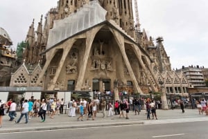 Early Access to Sagrada Familia w/ Optional Tower Access