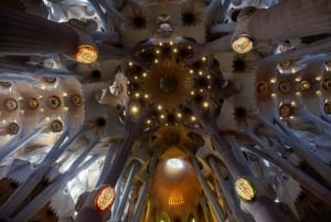 Early Access to Sagrada Familia w/ Optional Tower Access