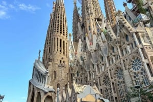 Early Access to Sagrada Familia w/ Optional Tower Access