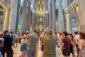 Early Access to Sagrada Familia w/ Optional Tower Access