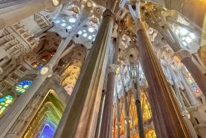 Early Access to Sagrada Familia w/ Optional Tower Access