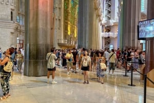 Early Access to Sagrada Familia w/ Optional Tower Access