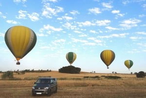 Europees Ballonfestival: Luchtballonvaart