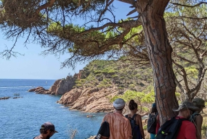 Explora a Costa Brava e Tossa de Mar: Trilhos, snorkel e refeições