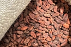 Ekspress-sjokoladeverksted for familier og barn i Barcelona