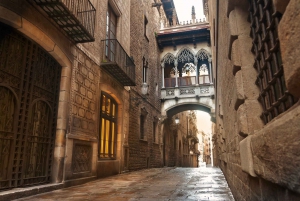 Barcelona: Gothic Quarter Private Guided Walking Tour