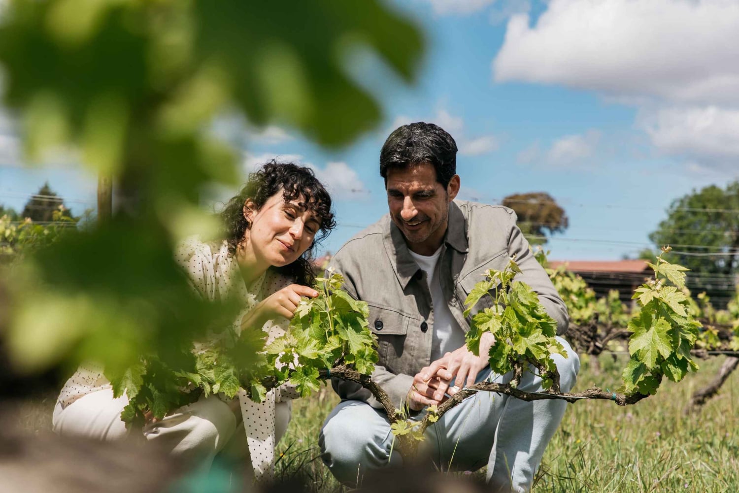 Cave Familia Torres : expérience gastronomique tapas et vin