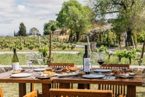 Cave Familia Torres : expérience gastronomique tapas et vin