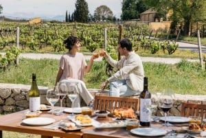 Cave Familia Torres : expérience gastronomique tapas et vin