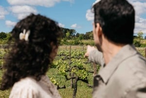 Cave Familia Torres : expérience gastronomique tapas et vin